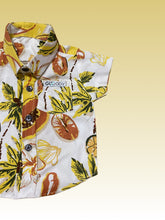 Load image into Gallery viewer, Matua Button up // Golosina Collection